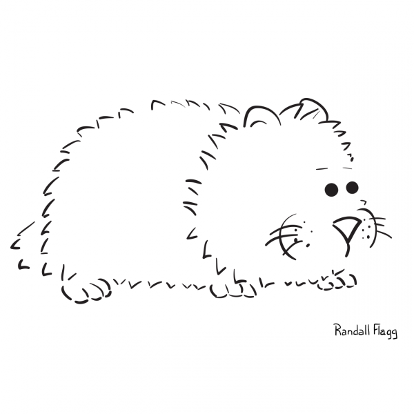 Hamster