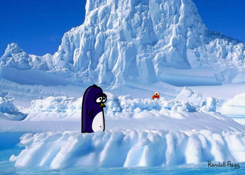 Pingouin