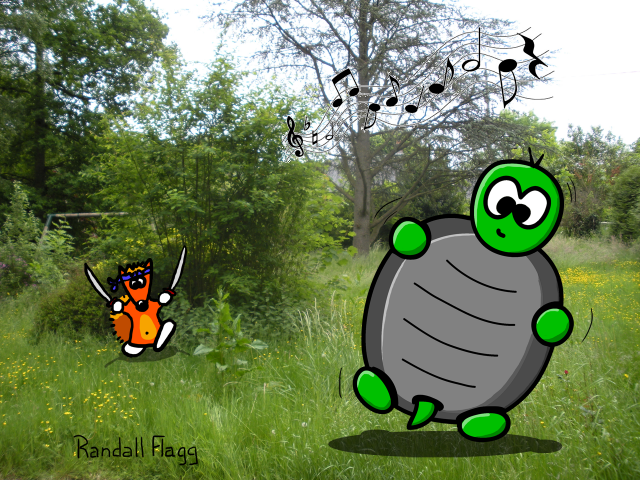 Tortue