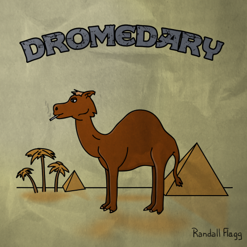 dromadaire